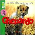 Ghepardo