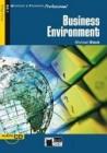 The Business environment