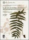Il museo di storia naturale dell'Universit� di Firenze. Ediz. italiana e inglese vol.2