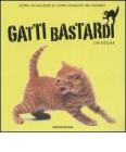 Gatti bastardi