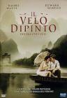 Il velo dipinto