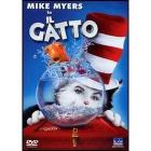Il gatto