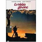 La rabbia giovane