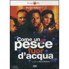 Come un pesce fuor d'acqua