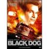 Black Dog