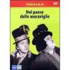 Nel paese delle meraviglie
