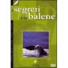 I segreti delle balene