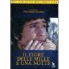 Il fiore delle Mille e una Notte