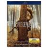 Nel paese delle creature selvagge (Blu-ray)