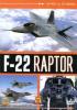 F 22 Raptor. Heavy Metal