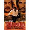 Terra bruciata