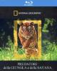 I predatori della giungla e della savana (Blu-ray)