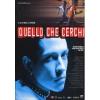 Quello che cerchi