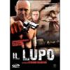 Il lupo
