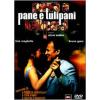 Pane e tulipani