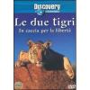 Le due tigri