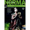 Vincenzo Bellini. Norma (2 Dvd)