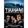 Tsunami. Terrore nel mare del nord