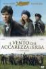 Il vento che accarezza l'erba