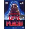 Lake Placid