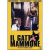 Il gatto mammone