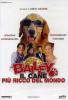 Bailey. Il cane pi� ricco del mondo