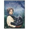 Gorilla nella nebbia
