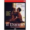 Il danno