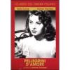 Pellegrini d'amore