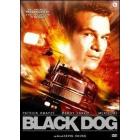 Black Dog
