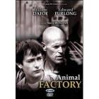Animal Factory
