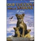 Due cuccioli nella savana