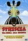 Striscia, una zebra alla riscossa