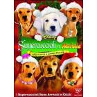 Supercuccioli a Natale