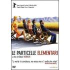 Le particelle elementari