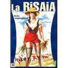 La risaia