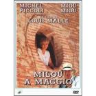 Milou a maggio