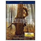 Nel paese delle creature selvagge (Blu-ray)