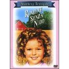 Rondine senza nido