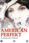 American Perfekt. La strada verso l'inganno