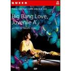Big Bang Love, Juvenile A