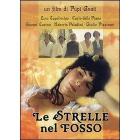 Le strelle nel fosso