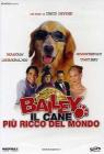 Bailey. Il cane pi� ricco del mondo