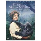 Gorilla nella nebbia