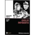 Giglio infranto