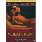 Volav�runt